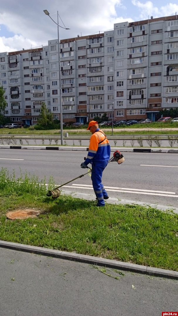 Проект псков ооо псков