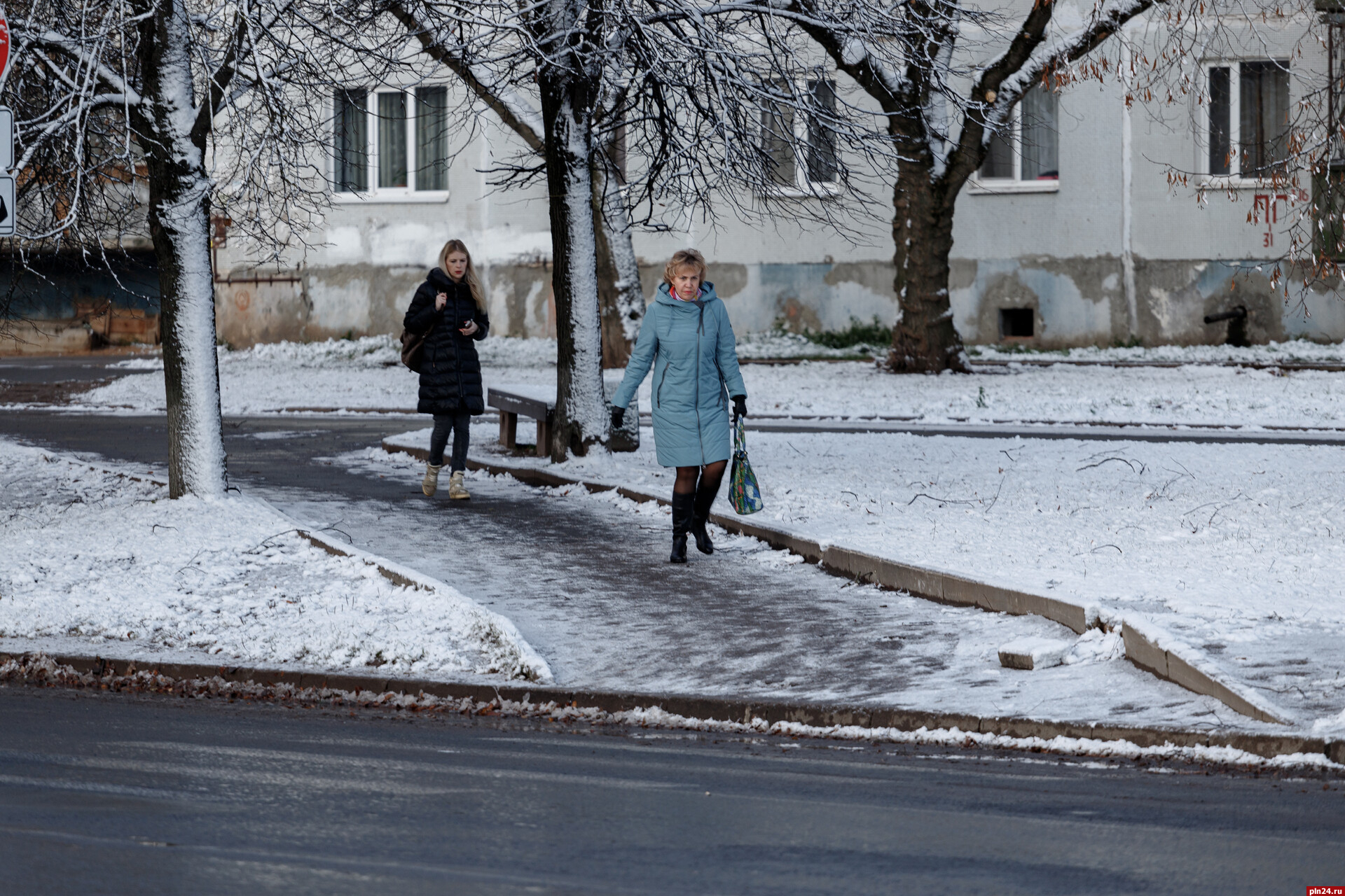 Первый снег января. Первый снег в Москве. Зима без снега. Снег во дворе. Мокрый снег.